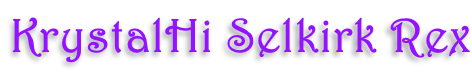 KrystalHi Selkirk Rex